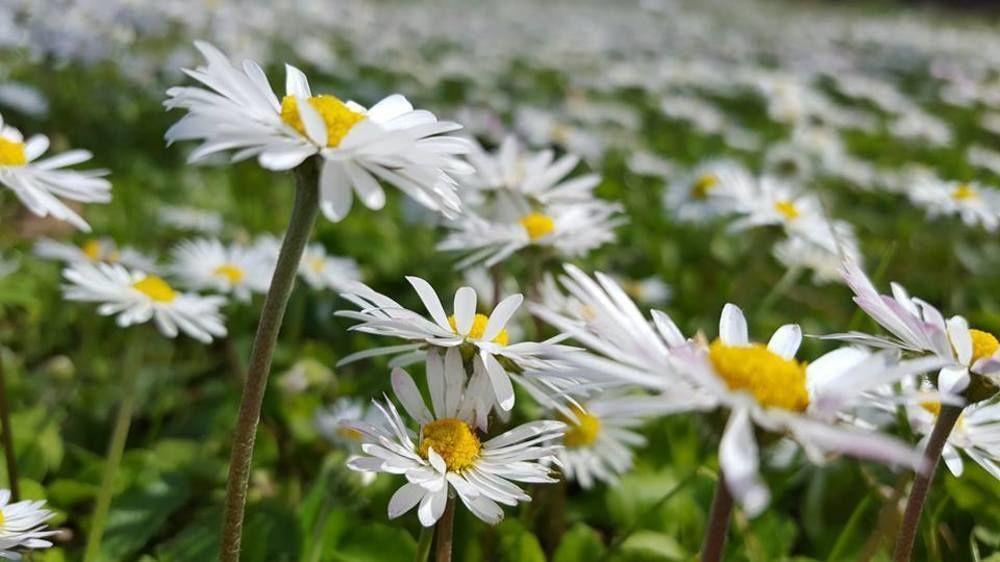Borgodoro - Natural Retreat Magliano Sabina Ngoại thất bức ảnh